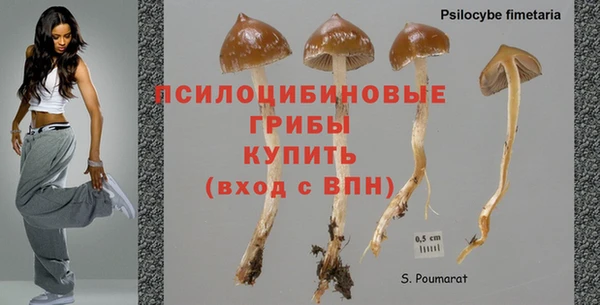 apvp Нея