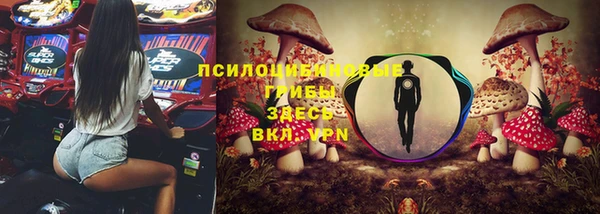 apvp Нея