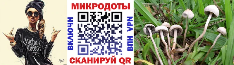 ОМГ ОМГ зеркало  где купить   Усть-Катав  Галлюциногенные грибы мицелий 